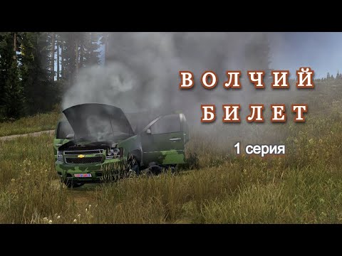 Видео: DAYZ. Сервер Sky. Волчий билет. 1 серия