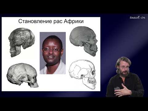 Видео: Дробышевский С.В. - Антропология - 9. Человеческие расы. Африка
