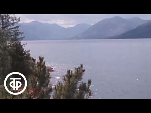 Видео: На озере Орон. Заповедник "Витимский" (1990)