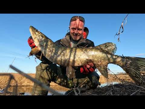 Видео: СПИННИНГ ВЕСНОЙ НА МАЛЫХ РЕКАХ! Рыбалка в МАРТЕ! Ловля ЩУКИ! Я её нашёл!!!