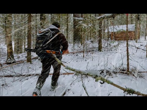 Видео: ДАВНО Я СТОЛЬКО ДИЧИ НЕ ДОБЫВАЛ! Охота в Тайге с Ружьём в ненастье.