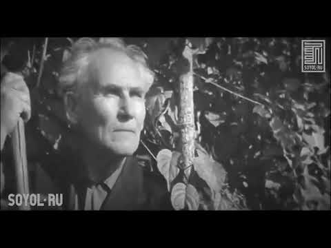 Видео: Баргузин. 1967 г.