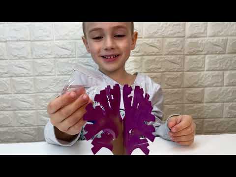 Видео: Как Вырастить Кристальное Дерево: Магия Эксперимента!