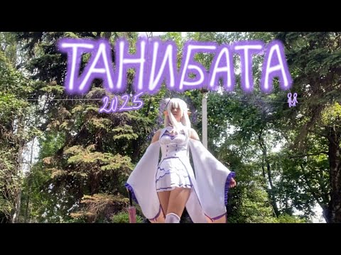 Видео: Танибата 2025! 🌂