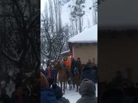 Видео: Кошой той