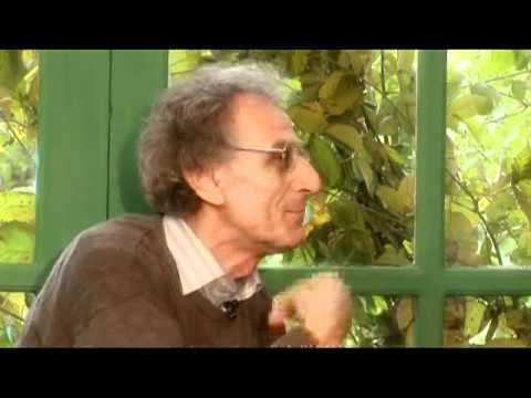 Видео: Беседы о суфизме, часть 3