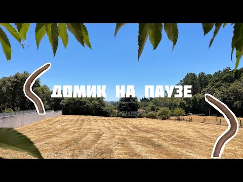 Видео: Домик на паузе/Змея на участке