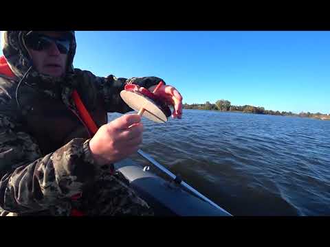 Видео: ХИТРЫЙ СУДАК ГРОДНЕНСКОГО ВОДОХРАНИЛИЩА! САМОДЕЛЬНЫЕ КОНТЕЙНЕРЫ ДЛЯ ПЕРЕВОЗКИ ЖИВЦА.ЛОВЛЯ НА КРУЖКИ.