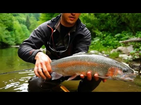 Видео: Ловля ФОРЕЛИ  в мутной воде, Непредвиденные обстоятельства с владимиром волошиным