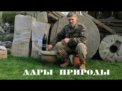 Видео: Тут сто лет назад такого не садили