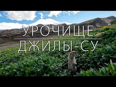 Видео: УРОЧИЩЕ ДЖИЛЫ-СУ. ВОДОПАДЫ. ЭЛЬБРУС. СУСЛИКИ