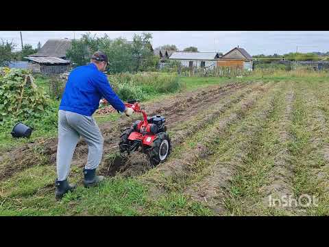 Видео: Мотоблок Агат. Копка картошки. Сезон 2025.