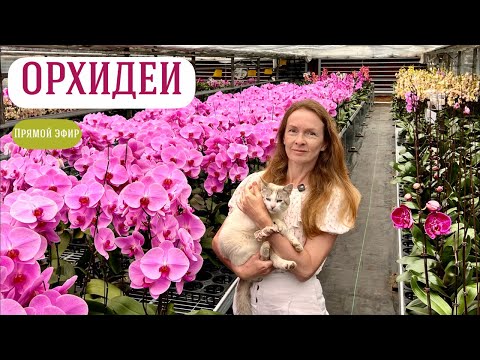 Видео: Exclusive! НОВОЕ ПОСТУПЛЕНИЕ в Байкальские цветы!