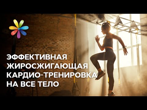 Видео: Минус 5 кг за 7 минут: жиросжигающая тренировка на все тело – Все буде добре