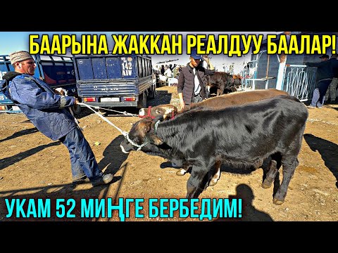 Видео: БАЗАР ӨЛДҮ ӨЛДҮ БОЛДУГО ЧИРКИН 🤯 #байтв