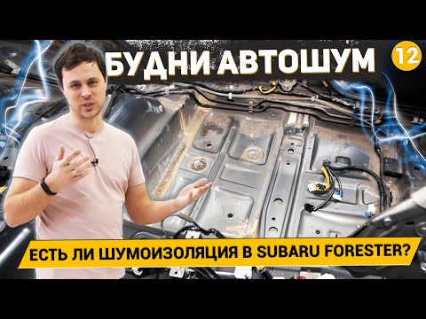 Видео: SUBARU FORESTER БЕЗ ШТАТНОЙ ШУМОИЗОЛЯЦИИ? /КАК ЗАКРЫВАЮТСЯ ДВЕРИ С ШУМОИЗОЛЯЦИЕЙ / Будни АвтоШум #12