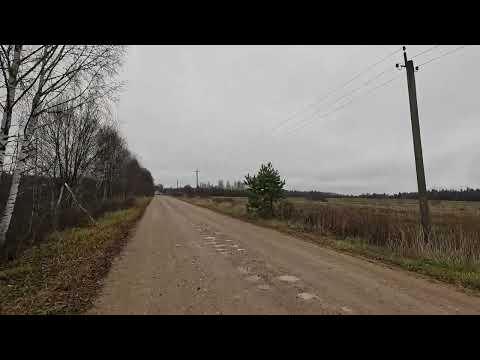 Видео: Пробежка по Подмосковью, Дубрава - Новокарцево, 7.11.25