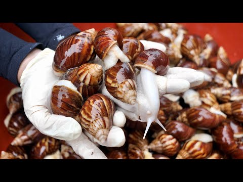 Видео: Корейская еда, жареные улитки, корейская уличная еда