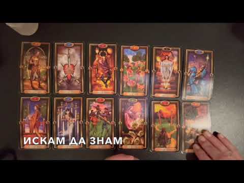 Видео: Кой се опитва да спечели сърцето ви?