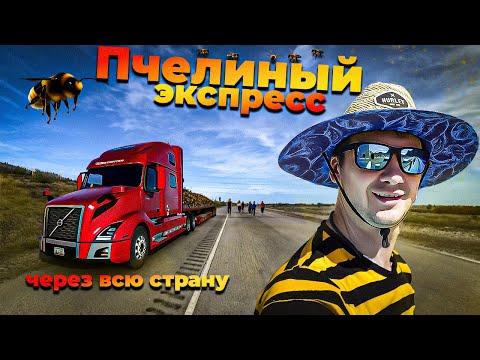 Видео: Самый дорогой груз в карьере / С Калифорнии во Флориду / Дальнобой по США