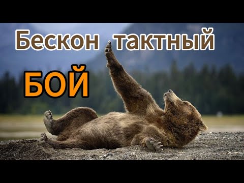 Видео: Лондруид Бесконтактный бой дота 2