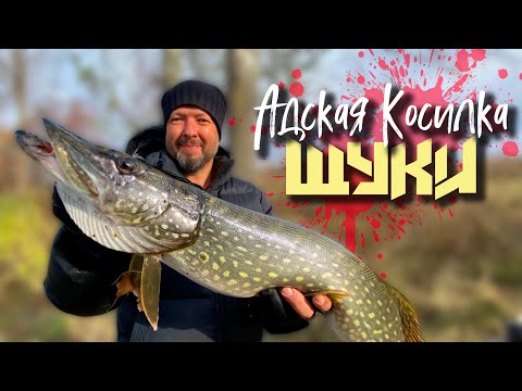 Видео: 🔴 ЛУЧШИЙ ВОБЛЕР на ЩУКУ по МЕЛКОВОДЬЮ!!! Обзор - Bat-a-shad 75 от Pontoon21!🔥💪🔥
