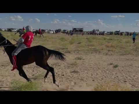 Видео: Бәйге Тұщықұдық ауылы 03.07.2022