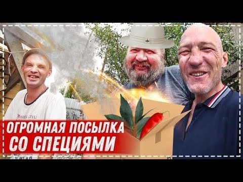 Видео: ПРИШЁЛ ГОДОВОЙ ЗАПАС СПЕЦИЙ / ГОТОВИМ БРИГАДОЙ НА ДАЧЕ МОШУБИРИНЧ