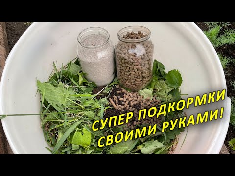 Видео: КАК ПРИГОТОВИТЬ НАТУРАЛЬНЫЕ ПОДКОРМКИ! ТРАВЯНОЙ НАСТОЙ, КУРИНЫЙ, ЗОЛЬНЫЙ И КОРОВЯК