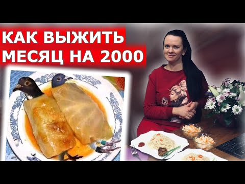 Видео: Выжить месяц на 2000 рублей!!! (14-15 день) Чуть не сорвали проект