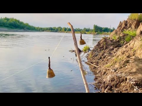 Видео: ТАКОГО ЕЩЕ НЕ ВИДЕЛ! 3 за 20 МИНУТ!!! Ловля ДИКОГО САЗАНА на Ахтубе. Ловля сазана. Рыбалка 2023.