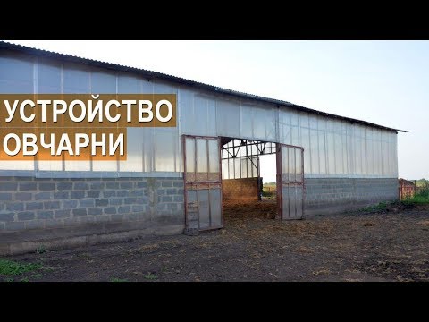 Видео: Устройство овчарни. Помещение для содержания овец. КФХ Тимофеевых.