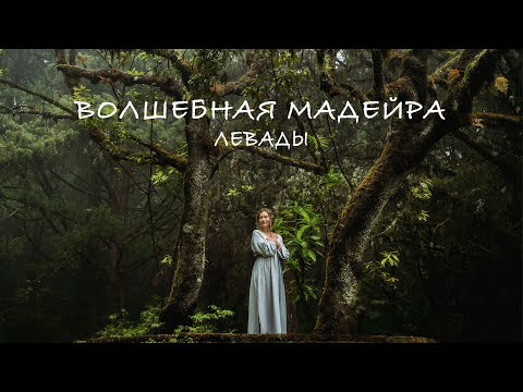 Видео: Мадейра изнутри | Левады | Каньоны | Горы | Водопады | Турист-оптимист