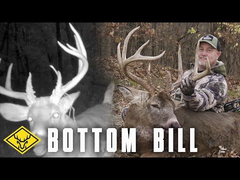 Видео: «Нижний Билл» | 300-фунтовый самец и завихряющиеся ветры...