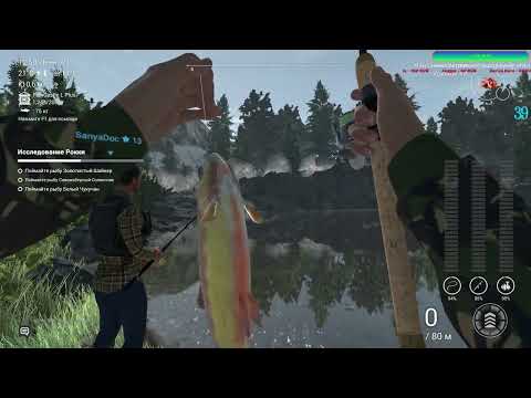 Видео: МАГНИТНЫЕ БУРИ "The Fisherman: Fishing Planet" 4 СТРИМ