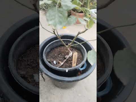 Видео: 14 октября 2025 г.