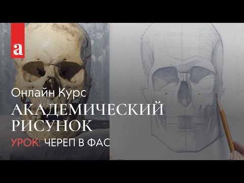 Видео: РИСУНОК ЧЕРЕПА В ФАС | Академический рисунок | Денис Чернов