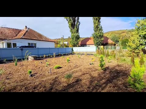 Видео: Большой цветник 2 сотки с нуля. СТРУКТУРА и никакой СИММЕТРИИ! Природный стиль.