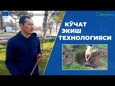 Видео: Баҳорда кўчат экиш технологияси ва боғ барпо қилиш бўйича мастер-класс