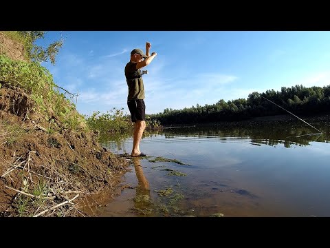 Видео: Рыбалка на АХТУБЕ 2023 Ловля на макушатник
