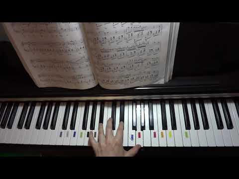 Видео: Ф.Шопен Ноктюрн Es-dur op.9№2. Урок 1.