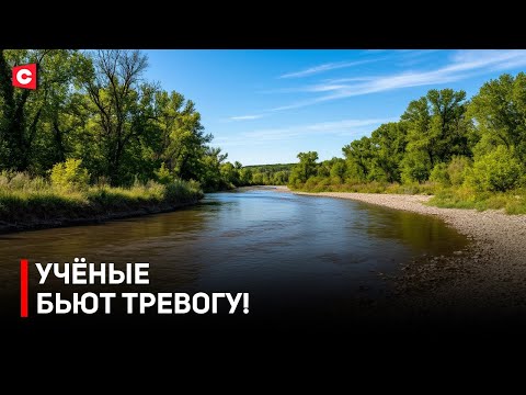 Видео: КАТАСТРОФА В БЕЛАРУСИ! Почему мельчают реки? Какие угрозы для природы?