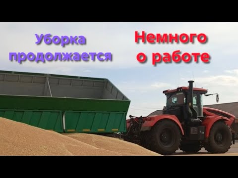 Видео: Немного о моей работе. Разная , уборка продолжается.