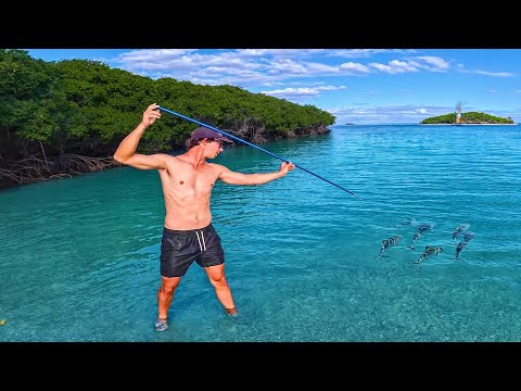 Видео: Выжить 2 дня, питаясь тем, что поймаем