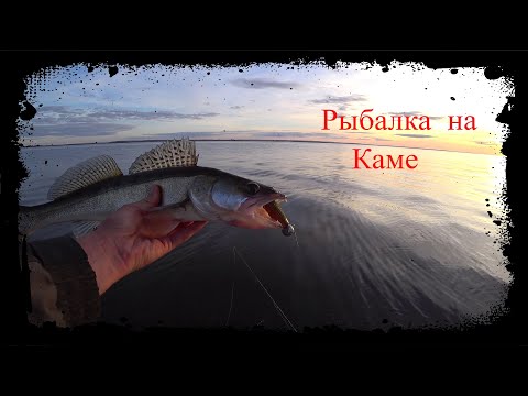 Видео: Судак спас рыбалку! Влупил как большой! Рыбачу на Каме. Новые места!