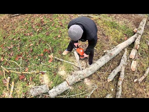 Видео: Мама взяла бензопилу! Пополнение ! Кормушки почти готовы ! ХУТОР В ЛЕСУ №872
