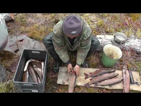 Видео: испытываем новый нож из руды
