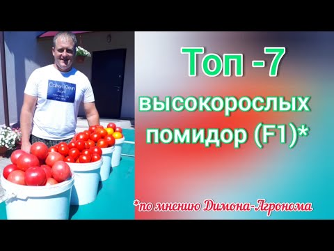 Видео: Высокорослые томаты Ф1 по сортам