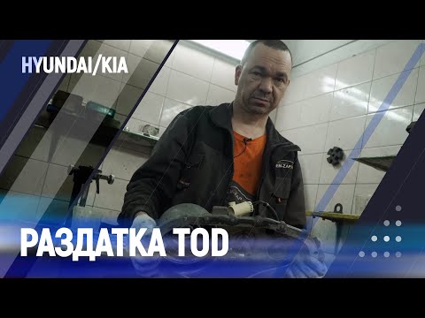 Видео: Дефектовка раздатки TOD. KIA/Hyundai