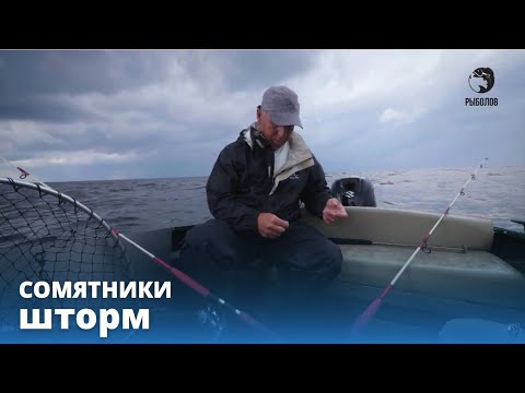Видео: Шторм // СОМЯТНИКИ // Выпуск 3